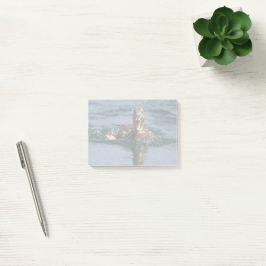 Eend met open bek post-it® notes (Kantoor)