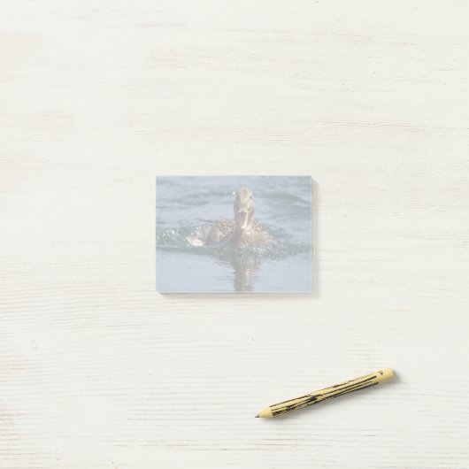 Eend met open bek                  post-it® notes (Op bureau)