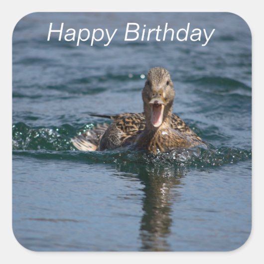 Eend met open bek vierkante sticker (Voorkant)