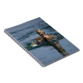 Eend met open snavel                  notitieboek (Rechterzijde)