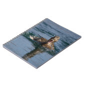 Eend met open snavel                  notitieboek (Linkerzijde)