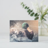 Eend Natuur Foto Briefkaart (Staand voorkant)