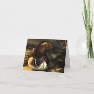 Eend Notecard Kaart
