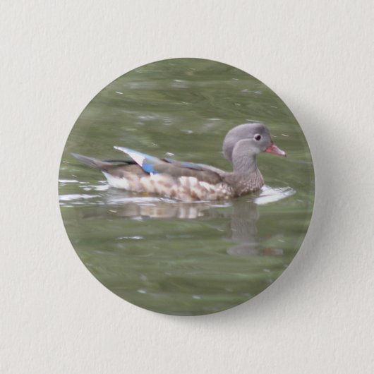 Eend op de meerknop ronde button 5,7 cm (Voorkant)