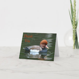 eend op de rivier - dank je wel bedankkaart