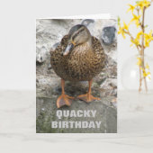 Eend op een muur Funny Custom Verjaardag Kaart (Gele Bloem)