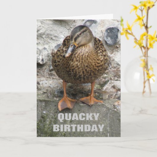 Eend op een muur Funny Custom Verjaardag Kaart (Gele Bloem)