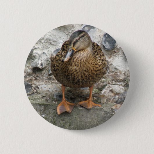 Eend op een muurknop ronde button 5,7 cm (Voorkant)