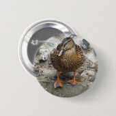 Eend op een muurknop ronde button 5,7 cm (Voorkant /achterkant)