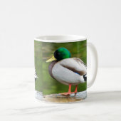Eend op een rots koffiemok (Voorkant rechts)