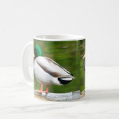 Eend op een rots koffiemok (Voorkant links)