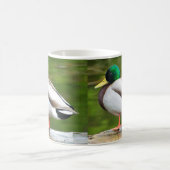Eend op een rots koffiemok (Center)