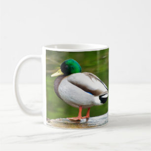 Eend op een rots koffiemok