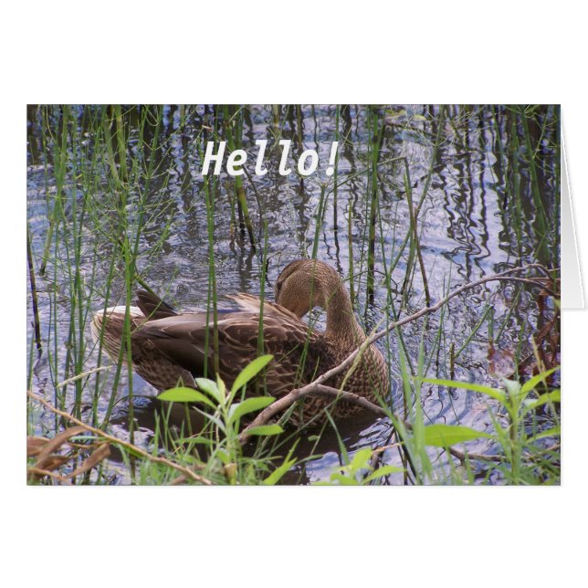 Eend op het water (Voorkant Horizontaal)