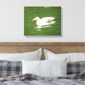 Eend op het Water Canvasprint Canvas Afdruk (Insitu (Slaapkamer))