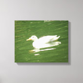 Eend op het Water Canvasprint Canvas Afdruk (Voorkant)