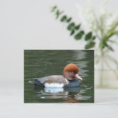 eend op rivier ansichtkaart briefkaart (Staand voorkant)
