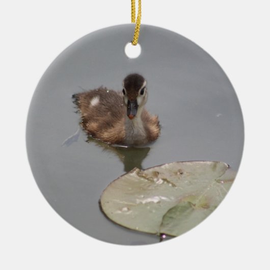 eend-ornament keramisch ornament (Voorkant)