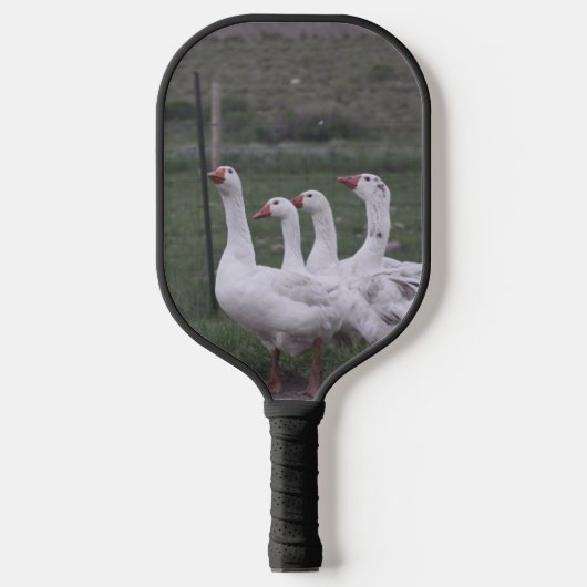 Eend Pickleball Paddle (Voorkant)