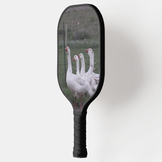 Eend Pickleball Paddle (Links)