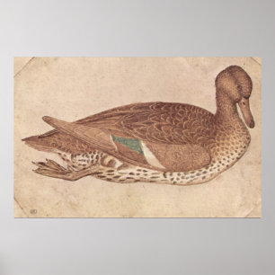 Eend - Pisanello - c1440 Poster