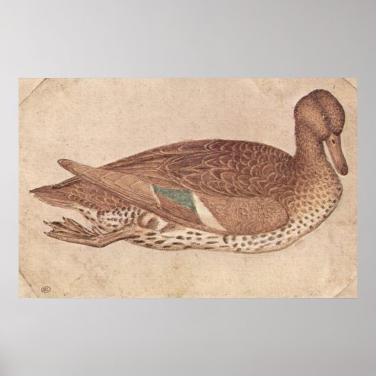 Eend - Pisanello - c1440 Poster (Voorkant)