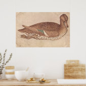 Eend - Pisanello - c1440 Poster (Keuken)