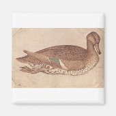 Eend - Pisanello Magneet (Voorkant)