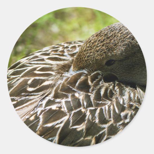 Eend Ronde Sticker (Voorkant)