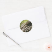 Eend Ronde Sticker (Envelop)