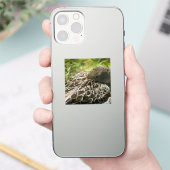 Eend Sticker (Telefoon)