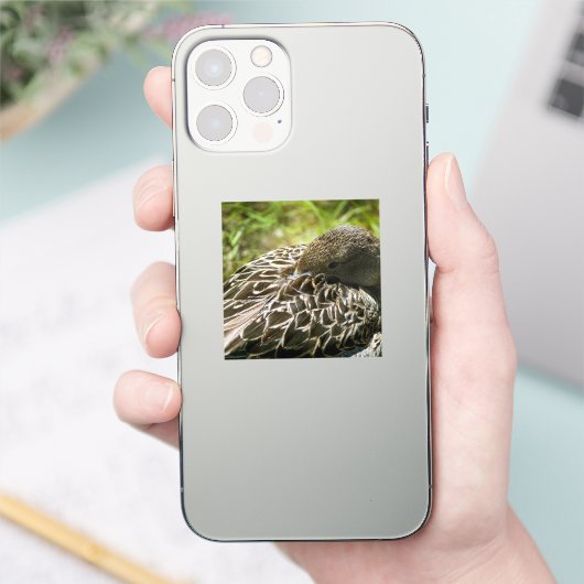 Eend Sticker (Telefoon)