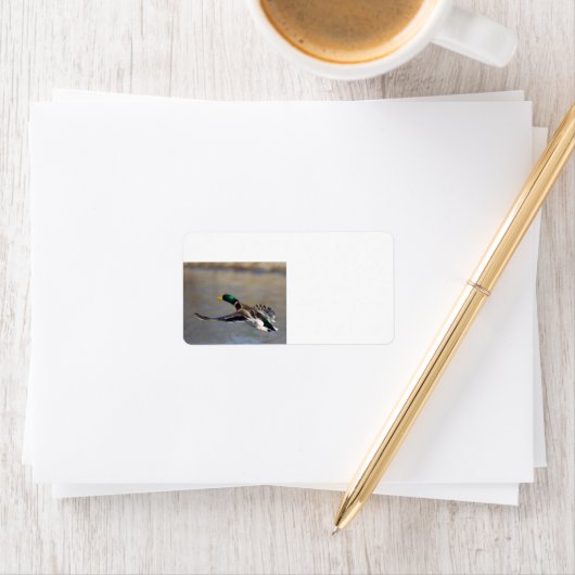 eend tijdens de vlucht etiket (Insitu)