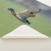 EEND TIJDENS DE VLUCHT SHERPA DEKEN (3/4)