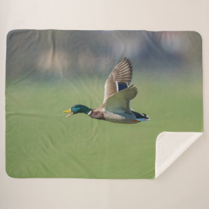 EEND TIJDENS DE VLUCHT SHERPA DEKEN