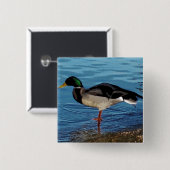 eend vierkante button 5,1 cm (Voorkant /achterkant)