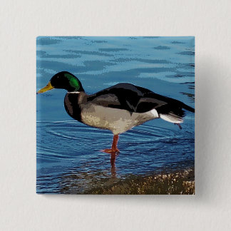 eend vierkante button 5,1 cm