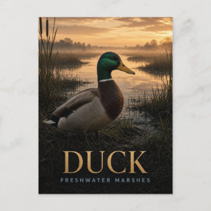 Eend zoetwatermoerassen Wildlife DIER Briefkaart