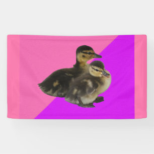 Eendags Kuikens op Roze Framboos en Paarse Sorbet Spandoek