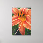 Eendagsleuf Canvas Afdruk (Voorkant)