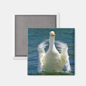 eendeklapmagneet magneet (Voorkant / Achterkant)