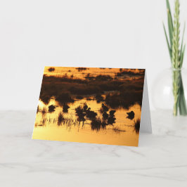 Eenden bij dageraad kaart