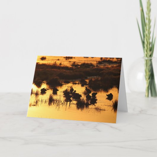 Eenden bij dageraad kaart (Voorkant)