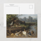 Eenden bij de stroom van Carl Jutz Briefkaart (Voorkant / Achterkant)