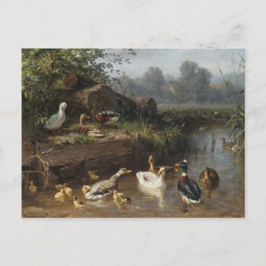 Eenden bij de stroom van Carl Jutz Briefkaart (Voorkant)