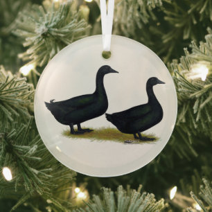 Eenden:  Black Cayugas Glas Ornament
