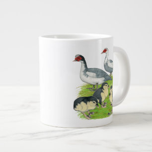 Eenden Blauwe Bonte Muskovy Familie Grote Koffiekop