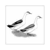 Eenden: Blauwe Magpies Rubberstempel (Afrduk)