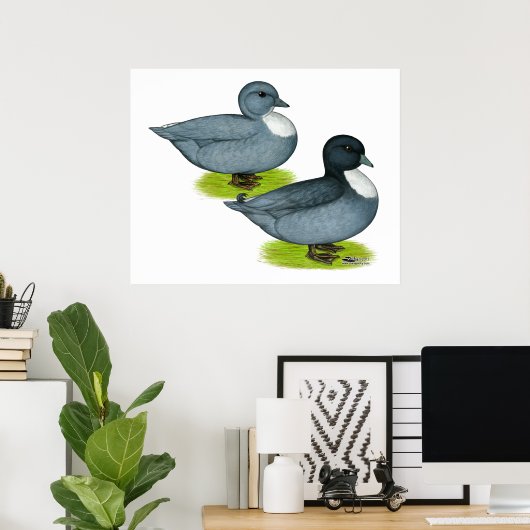 Eenden: Blauwe Vraag Poster (Thuiskantoor)