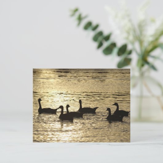 eenden briefkaart (Staand voorkant)